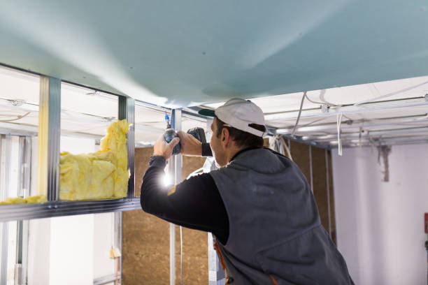 Best Blown-in Insulation in Krugerville, TX