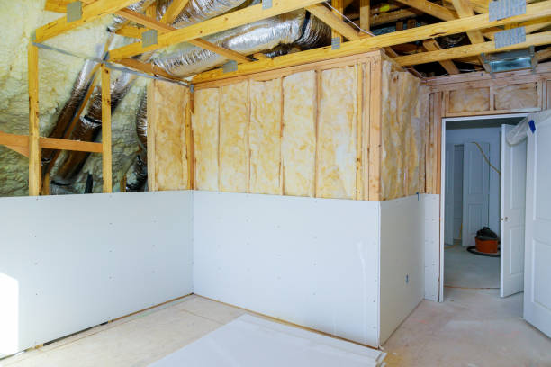 Best Eco-Friendly Insulation in Krugerville, TX