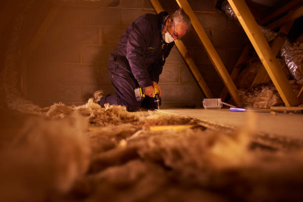 Best DIY Insulation Kits and Guidance in Krugerville, TX