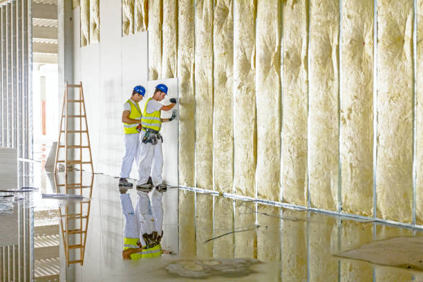 Best Geographic-Specific Insulation Services in Krugerville, TX